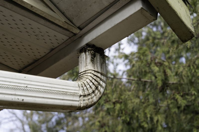 Clean Gutter with Downspout